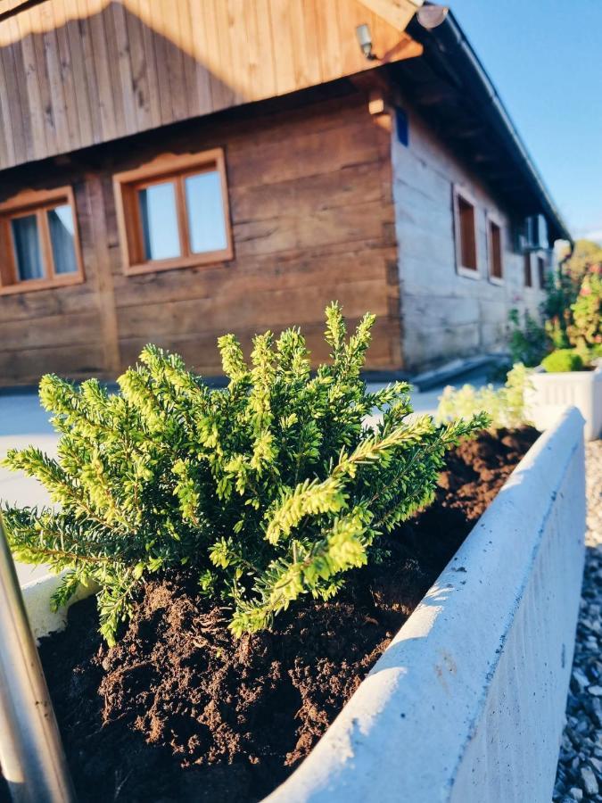 Ruralna Kuca Za Odmor Kablarovo Brdo Guest House Krnjak ภายนอก รูปภาพ